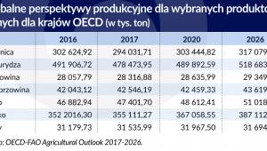 Perspektywy produkcyjne (graf. Obsewator Finansowy)